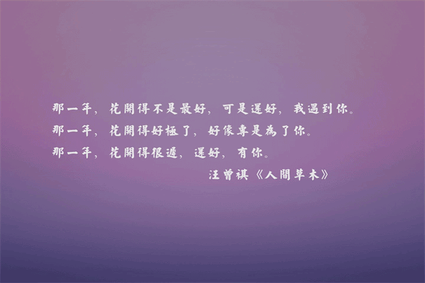 让下面起反应的句子 感悟人生唯美句子短句 第3张