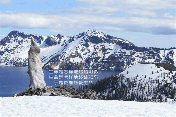 最火小说语录摘抄经典 人生感悟至理名言大全