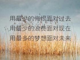 老人生日祝福语