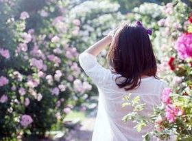 认错短信