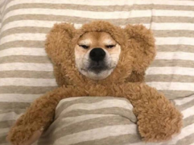 甄嬛传台词