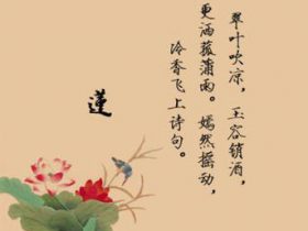 鲁迅名言警句