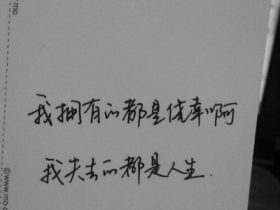 摘抄好段