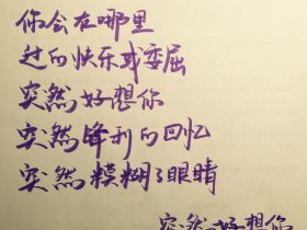 甄嬛传台词