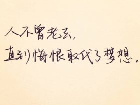 甄嬛传台词