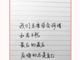 摘抄好段