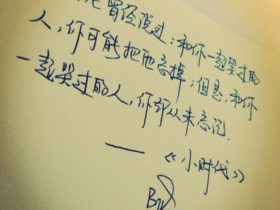 摘抄好段