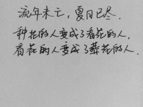 表白的句子