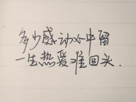 诗意的句子