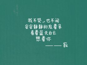 爱情公寓2经典台词
