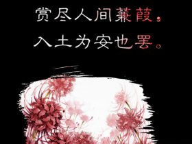 老人生日祝福语