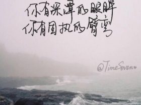 风雨哈佛路经典台词
