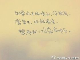 摘抄好段