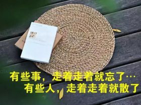 形容夏天的句子