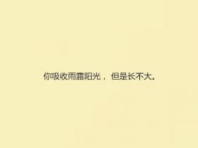 有哲理的句子