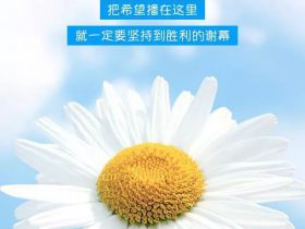 风雨哈佛路经典台词