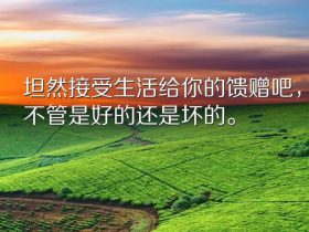 爱情公寓2经典台词