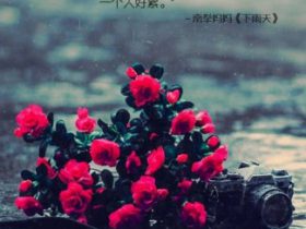 春联大全