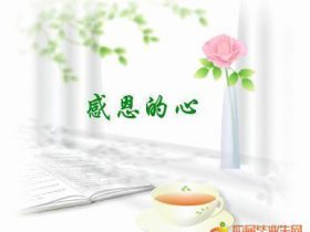 新婚快乐祝福语